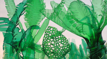 Magnifique deuxième vie pour ces bouteilles en plastique