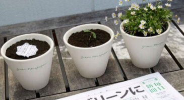 Mainichi est un quotidien japonais qui fleurit quand on l&rsquo;arrose !