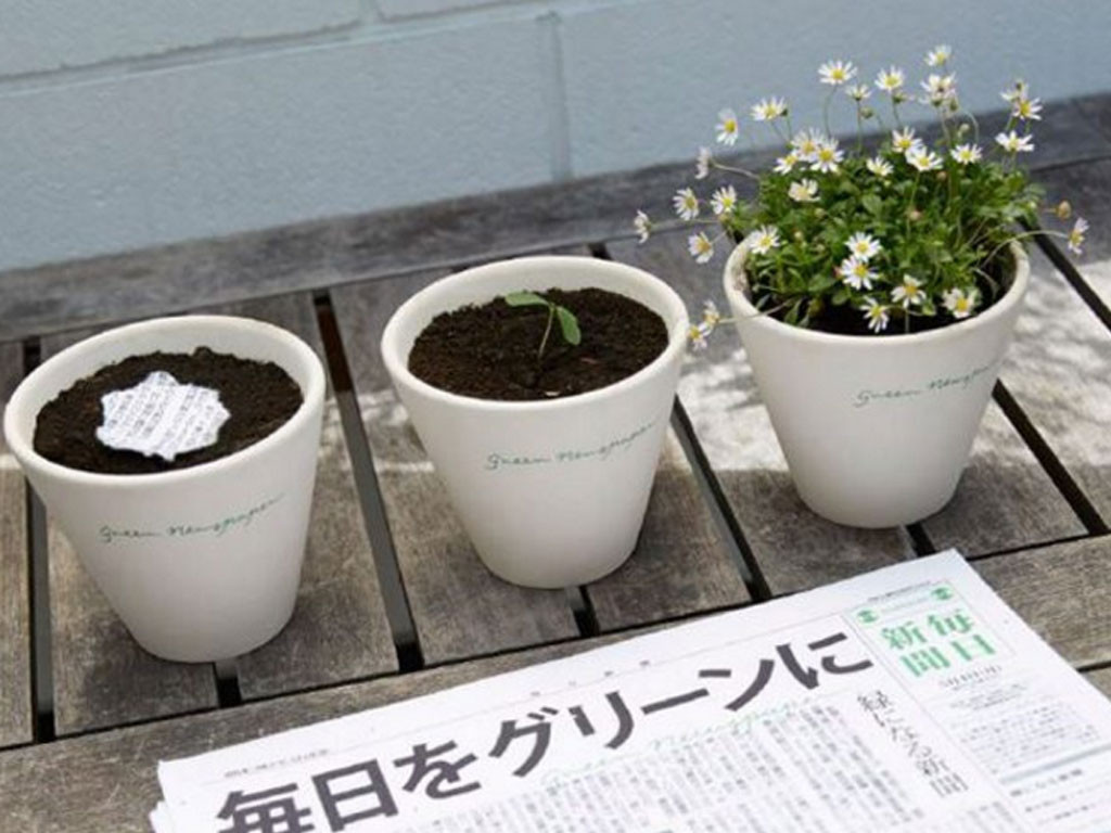 Mainichi est un quotidien japonais qui fleurit quand on l&rsquo;arrose !