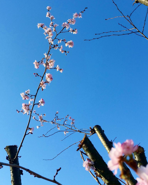 Mais c&rsquo;est quoi ce drôle de temps ?