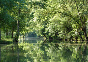 Petite virée dans le Marais Poitevin…