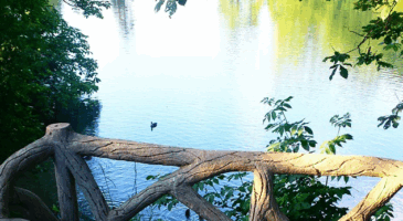 Mes 10 petits bonheurs au quotidien