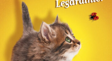 Mes 5 lectures du moment