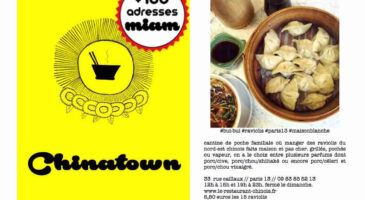 Mon Guide des Chinatowns de Paris