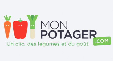 Mon potager, jardin pour citadins !