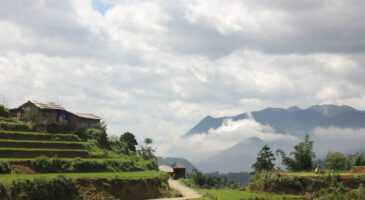 Mon voyage au Vietnam