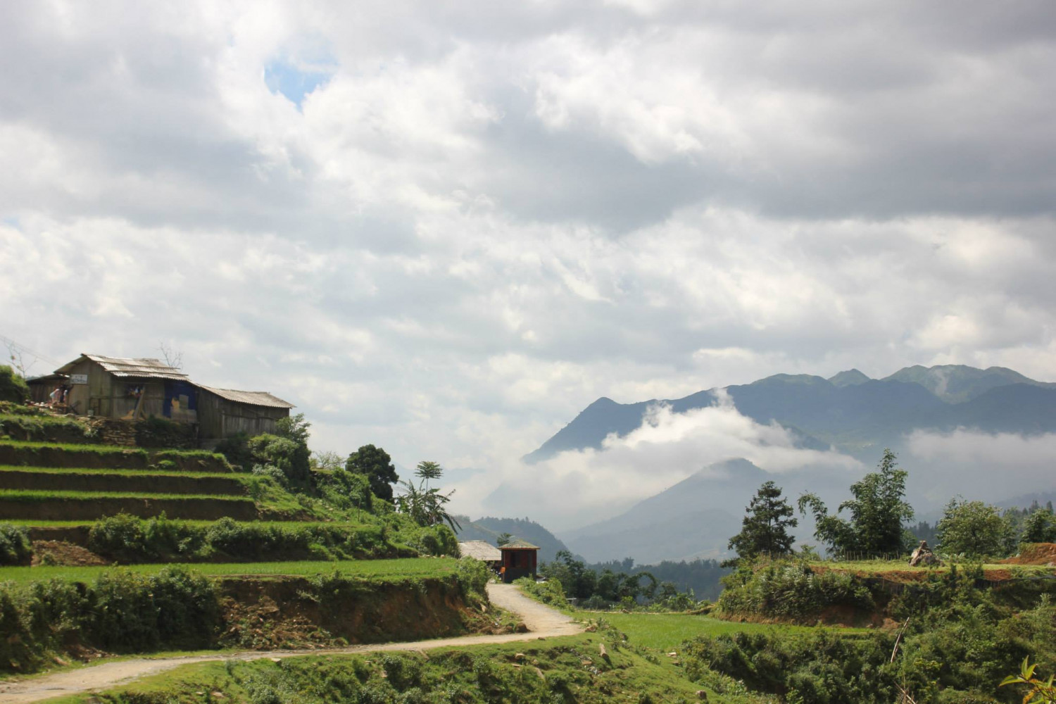 Mon voyage au Vietnam
