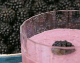 Mousse onctueuse de mûres