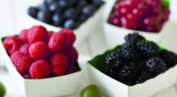 Nergi, un mini kiwi qui dépote