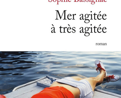 On-en-pense-quoi-de-Mer-agitee-a-tres-agitee