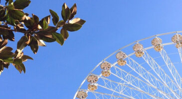 On trouve quoi sur ton Insta ?