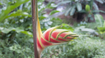 Où partir au mois d&rsquo;Octobre ?