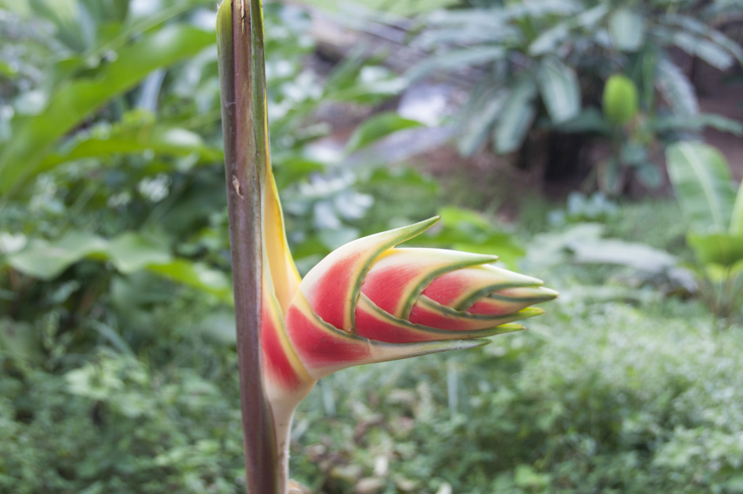 Où partir au mois d&rsquo;Octobre ?