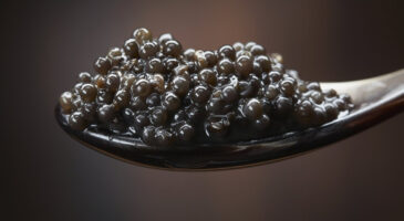 Oui, le caviar se mange aussi au moment de l&rsquo;apéro !