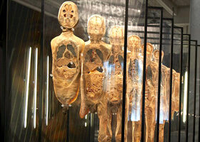 « Our Body » arrive pour la première fois en France !