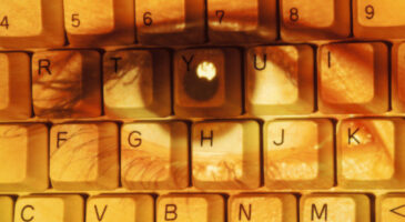 Peut-on tout dire et tout montrer sur Internet?