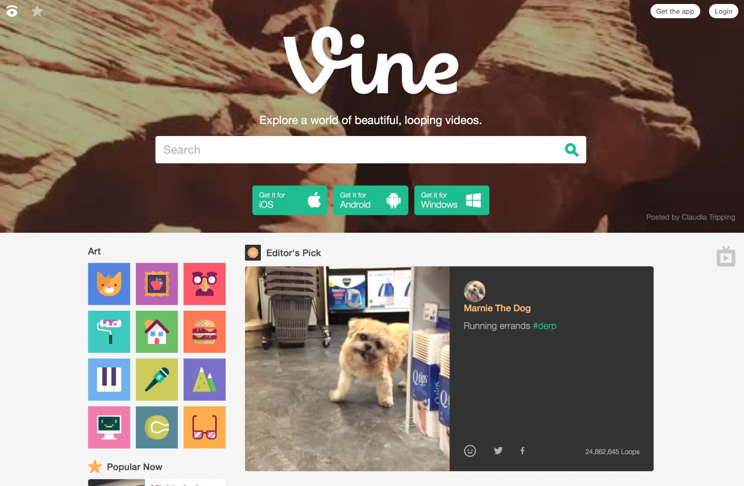 Pourquoi j&rsquo;aime Vine ?