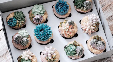 Quand les succulentes deviennent délicieuses !