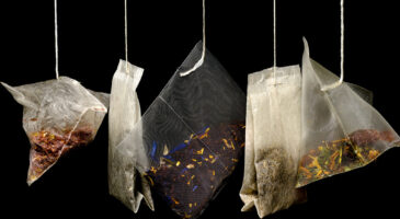 Quel thé choisir ? Voyons ensemble les différences