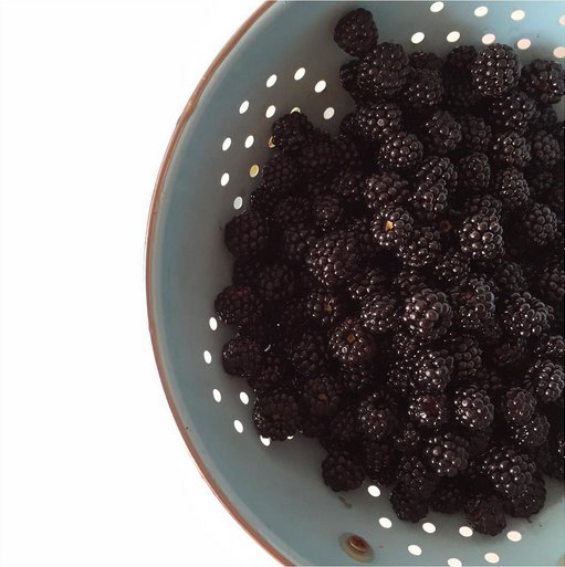 Recette de la tarte aux mures sauvages