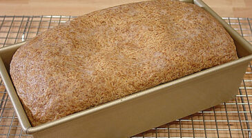 Recette du pain au psyllium