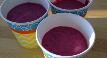 Recette : mon yaourt glacé aux fruits rouges
