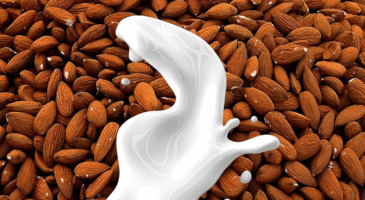 Recette : un lait d’amande home made !