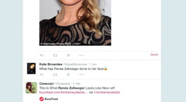 Renée Zellweger bashing, quand l&rsquo;Internet n&rsquo;a plus de mesure.