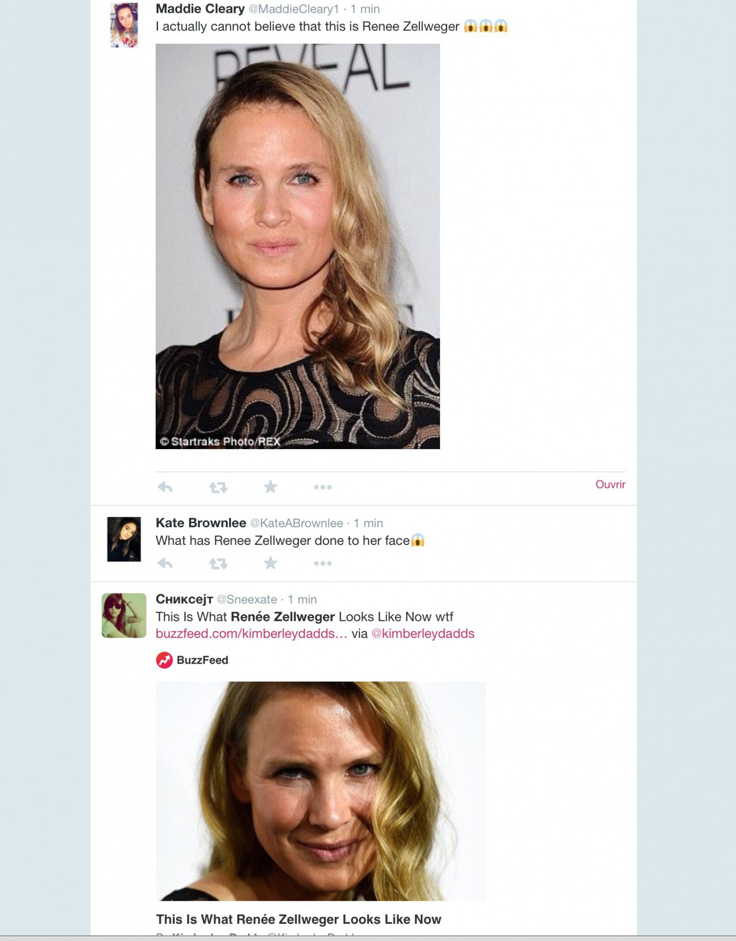 Renée Zellweger bashing, quand l&rsquo;Internet n&rsquo;a plus de mesure.