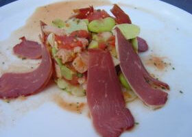 Salade de fèves à la tomate et magret de canard