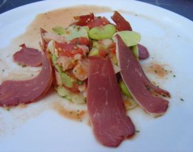 Salade de fèves à la tomate et magret de canard
