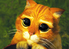 Shrek :  Un spin-off sur le Chat Potté !