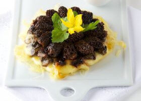 Tatins de Gruyère  France aux morilles