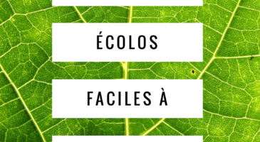 Top 10 des gestes écolos faciles à réaliser
