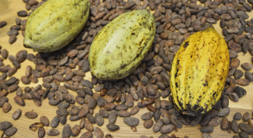 Top 5 des aliments mystérieux