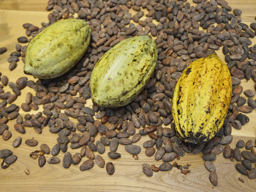 Top 5 des aliments mystérieux