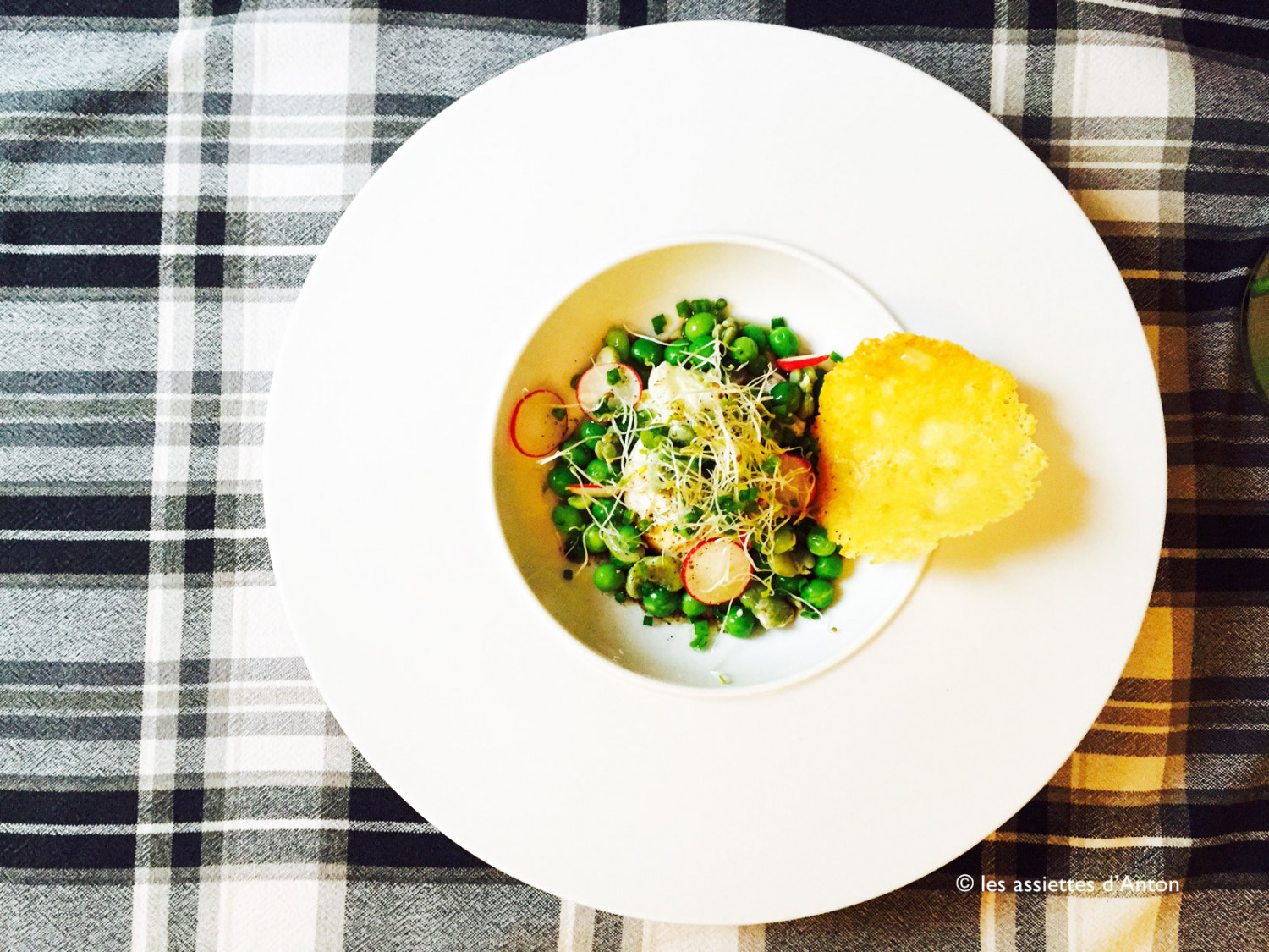 Toute fraiche et toute simple, la salade de petits pois et tuile de parmesan