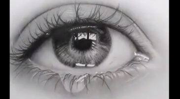 Toutes les nuances de gris pour ce superbe dessin