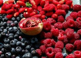 Tulipes de chocolat aux fruits rouges