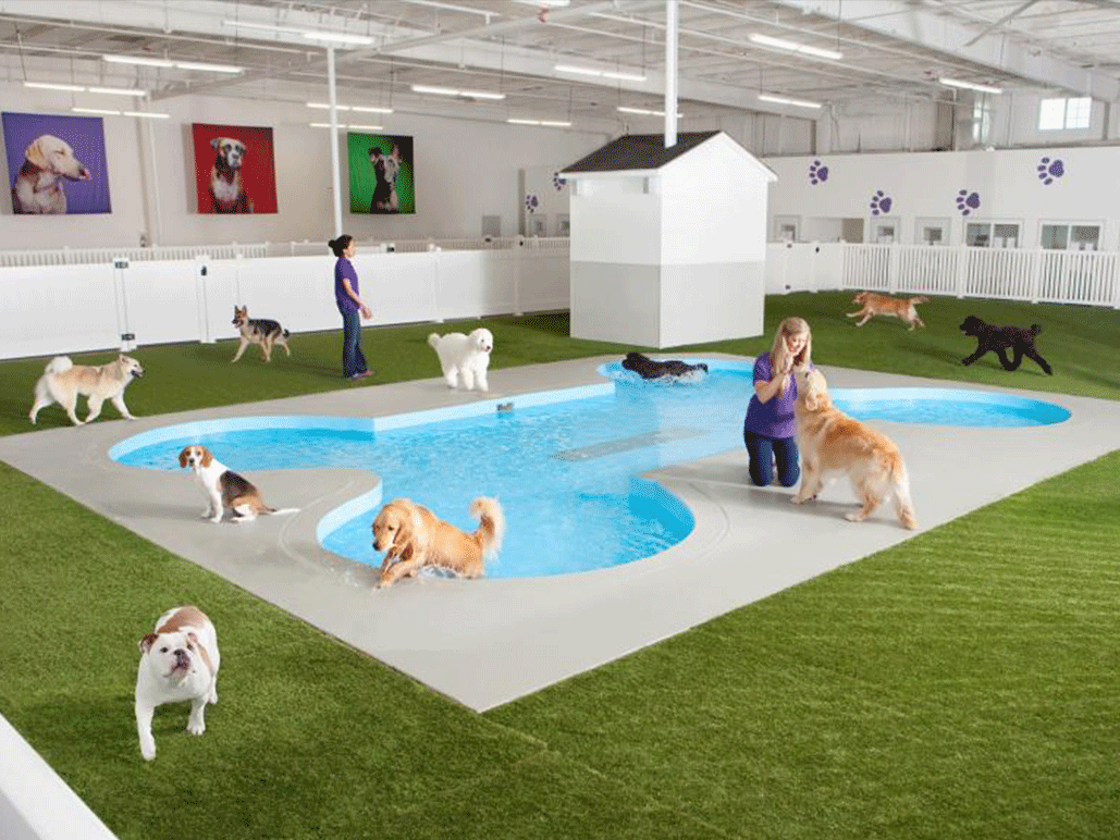 Un terminal aérien pour les animaux