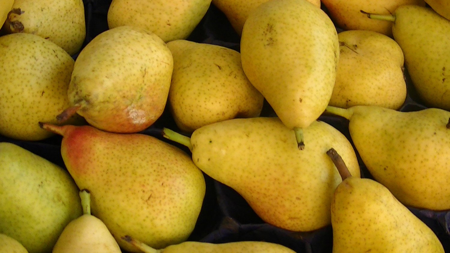 Une soupe de poires de Monbazillac