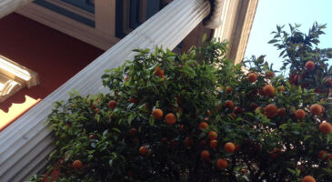 Voir Athènes et vouloir revoir Athènes