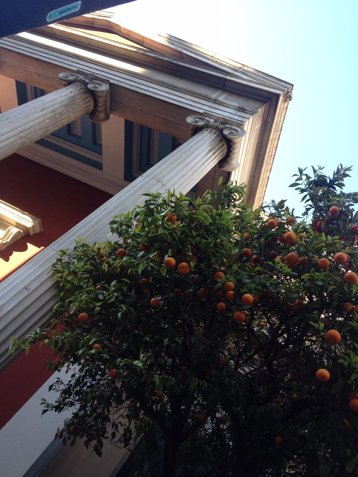 Voir Athènes et vouloir revoir Athènes