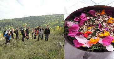 a Noel offrez un week-end découverte des plantes sauvages comestibles et cuisine