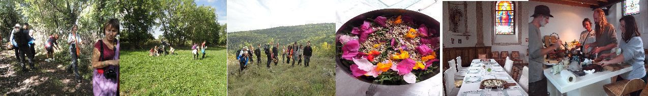 a Noel offrez un week-end découverte des plantes sauvages comestibles et cuisine