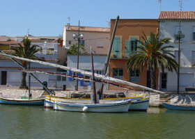 Échappée sauvage en Camargue