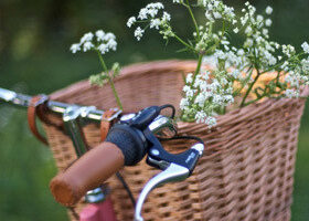 Dossier spécial : Vélo, mon amour !