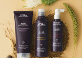 Aveda arrive enfin chez nous !