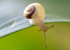 Qui a dit que la beauté c&rsquo;était forcément glamour ???