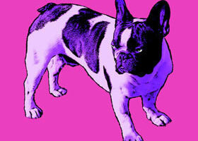 Cadeaux personnalisés sur le net